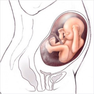 29cc 300x300 Emzirme Döneminde ilaç Sigara Alkol