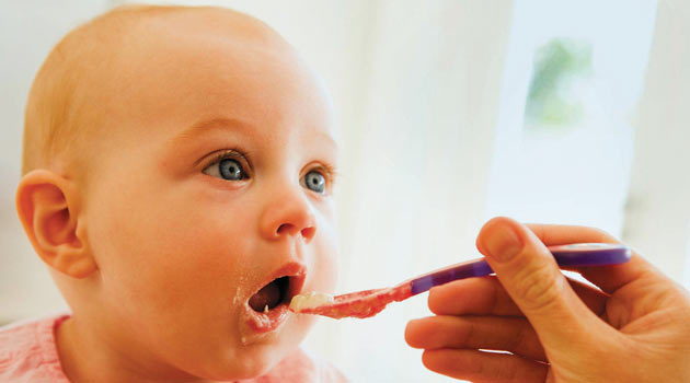 Bebeklerde Ek Besin Ek Gıda Tarifleri Önerileri