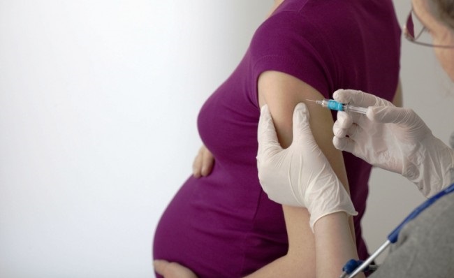 hamilelikte bagisiklik sistemi
