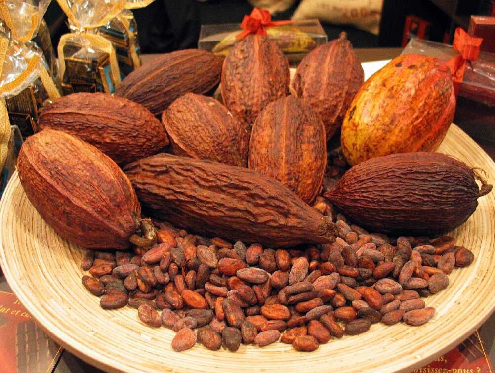 Kakao Yağının Faydaları Nelerdir ?