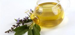 Doğal Bitki Çaylarının Vücudumuza Faydaları
