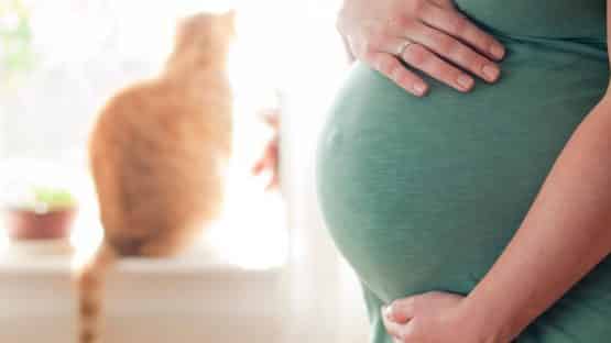 Hamilelikte Evcil Hayvanlar Sakıncalımı?
