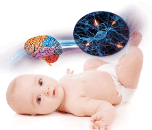Bebeklerde Cinsiyet ve Beyin