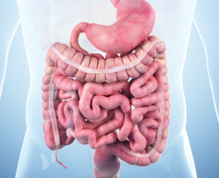 Midede İntestinal Metaplazi İyileşir mi?